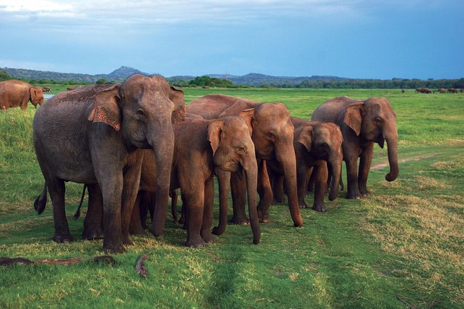 03 Nights in Amazing Sri Lanka - The Driver-Guide Can Make or Break the Pace