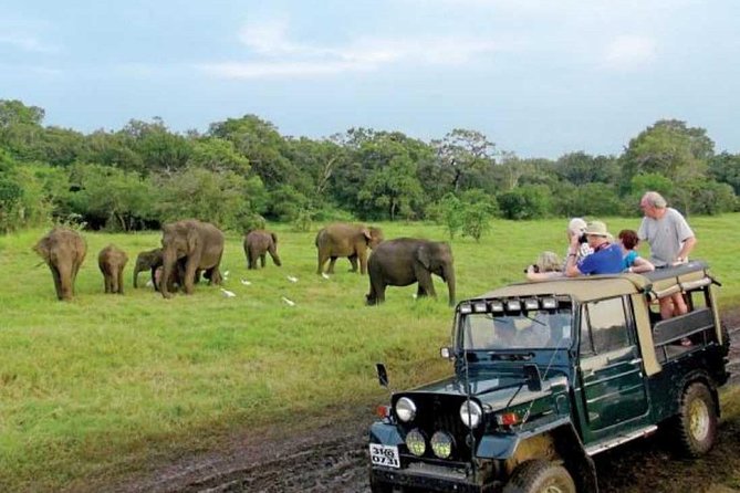 08 Nights in Magical Sri Lanka - Sigiriya, Pidurangala, and elephants in one packed day