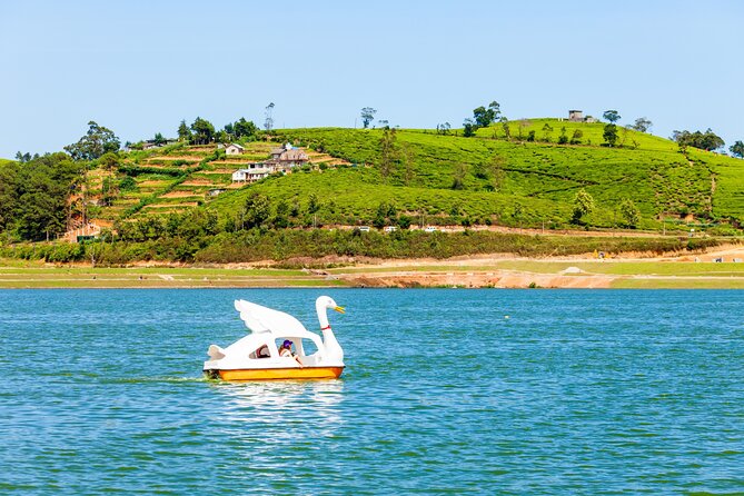 09 Days in Sri lanka - Major Attractions - Days 7 and 8: Two unhurried days in Mirissa