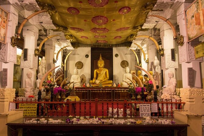 14 Days Sri Lanka ALL in One Classic Tour - Key things to know before booking