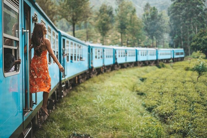 2 Day Tour of Yala & Ella with Hill Country Scenic Train Ride - All Inclusive - Nine Arch Bridge and Ella’s railway charm