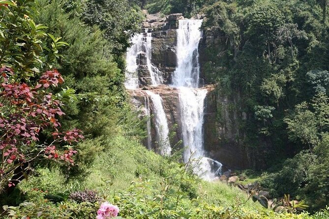 2 Day Tour of Yala & Ella with Hill Country Scenic Train Ride - All Inclusive - The 60 to 70-minute hill train ride