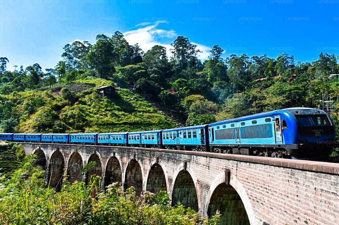 2 Day Tour of Yala & Ella with Hill Country Scenic Train Ride - All Inclusive - Tea fields and Kelliebedde Tea Factory
