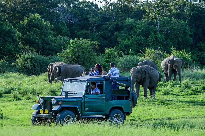 2 Days Tour of Double Safari (Yala & Udawalawe) - All Inclusive - Why this two-day safari works