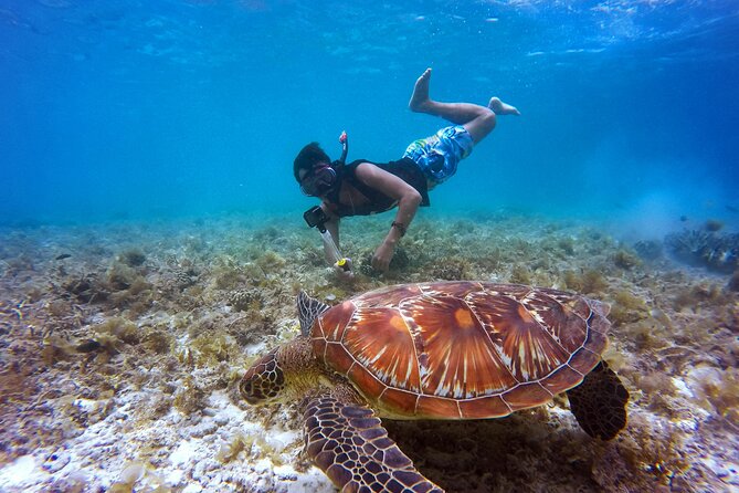 2 hours Private Snorkeling tour in Unawatuna - Key points at a glance