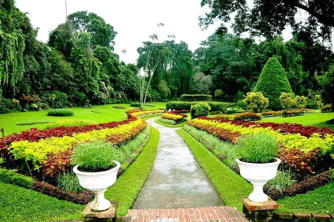 2 Night /3 Days-Highlights of Sri Lanka (Days Can be extended) - The private vehicle and driver service