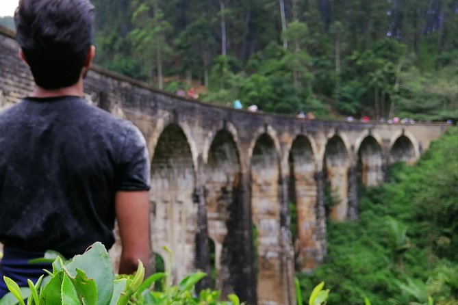 3 Days Nature and Chill Tour of Ella, Nuwara Eliya and Haputale - Where the price works, and where it does not