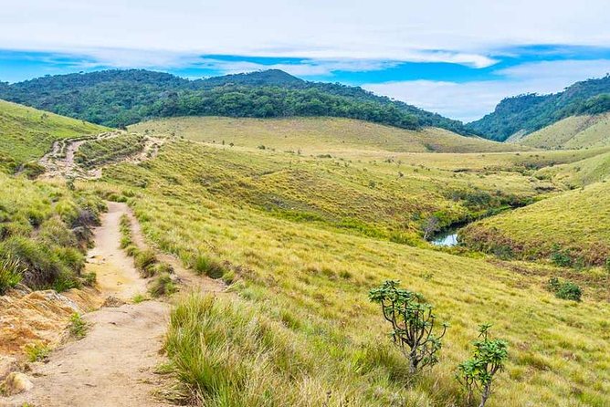 3 Days Nature and Chill Tour of Ella, Nuwara Eliya and Haputale - Who should book this Ella and hill-country tour?