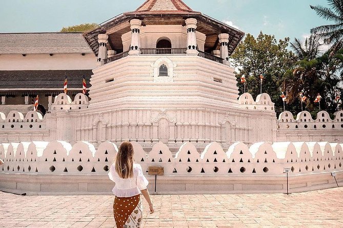 4 Days Tour to Kandy, Sigiriya & Nuwara Eliya - What $325 buys you over four busy days