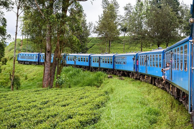 4 Days Tour to Kandy, Sigiriya & Nuwara Eliya - Day 1: From Colombo to Kandy by way of spices and sapphires