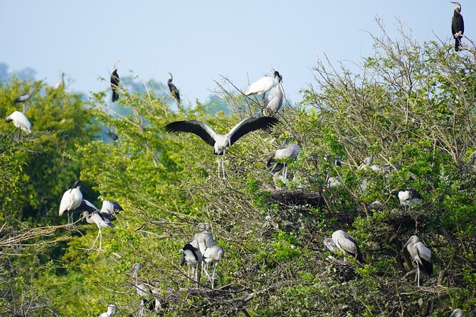 4 Hours Private Yala Safari Day Tour - The real shape of a Bentota to Yala day
