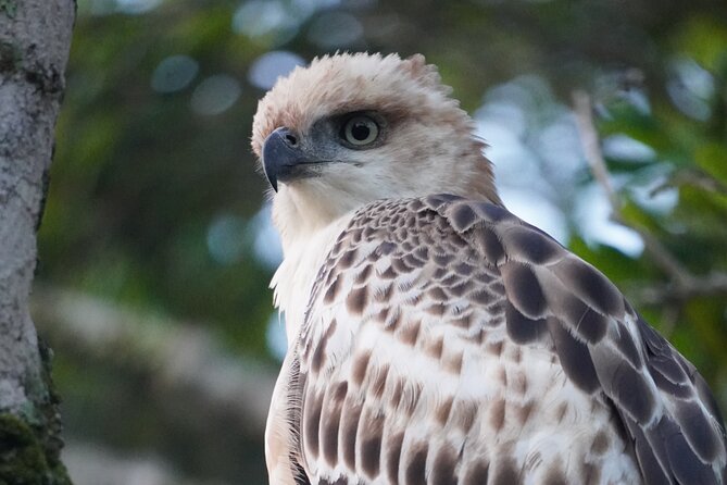 4 Hours Private Yala Safari Day Tour - The long transfer is the main drawback