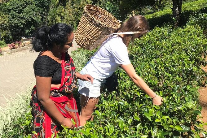 5 Days Tour in Sri Lanka (Hotels with Breakfast & Luxury Car) - Day 4: The southern coast from Dondra to Galle