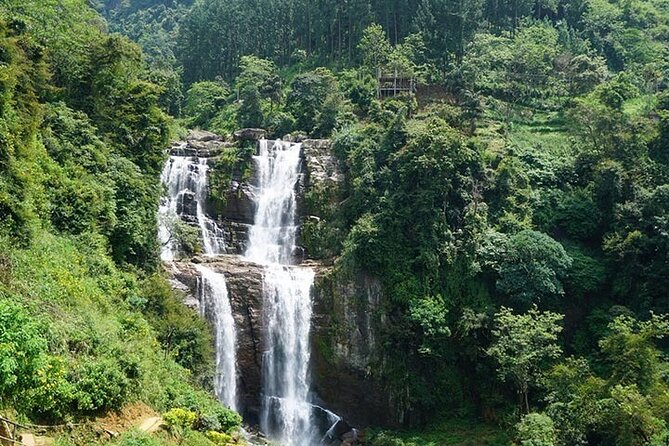 6 Days Tour of Sri Lanka - Day 4: Waterfalls and Nuwara Eliya tea country