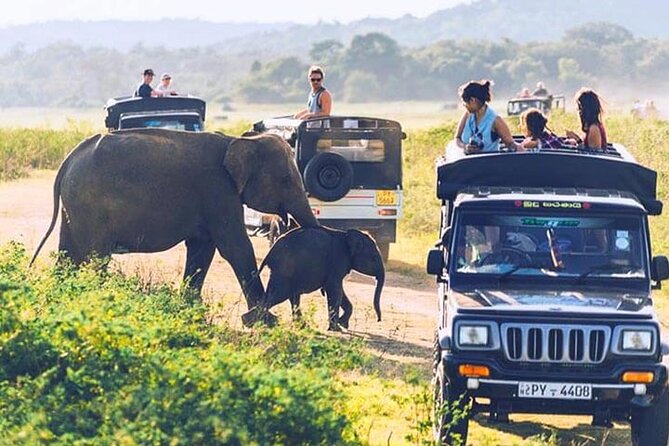 6 Days Tour of Sri Lanka - Day 1: Climbing Sigiriya and Pidurangala