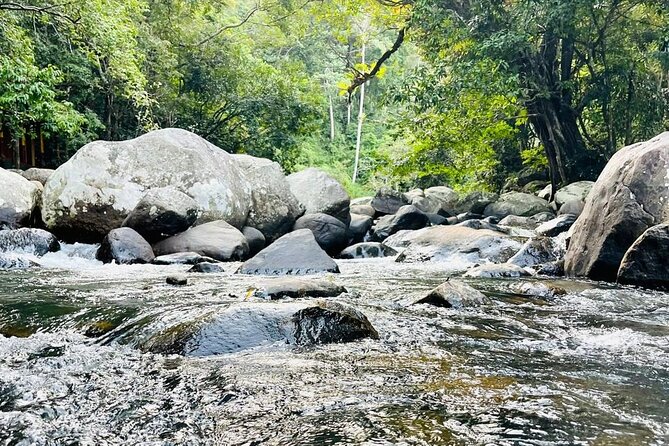 6Days Hill country Private Tour in Sri Lanka - Day 2: from Kandy to tea country