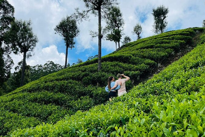 6Days Hill country Private Tour in Sri Lanka - Day 3: the Nanu Oya to Ella train