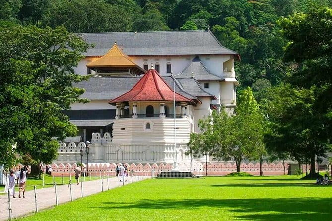 7 Days Private Guided Tour in Sri Lanka - Day 4: Ella’s bridges, falls, and short mountain walks