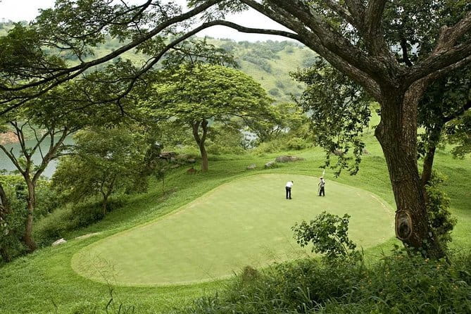 7 Days Sri Lanka Tour Chauffeur Wildlife and Heritage Adventure - Kandy’s sacred tooth and the road into tea country