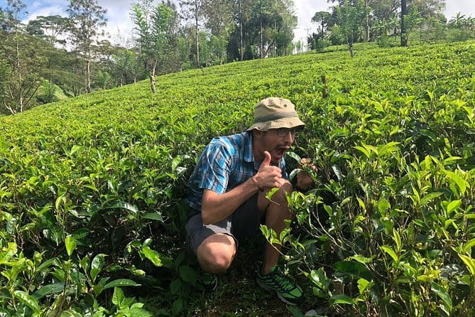 7 Days Sri Lanka Tour Chauffeur Wildlife and Heritage Adventure - Ella viewpoints, a colonial bridge, and Yala safari