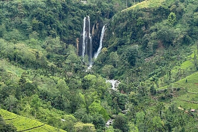 8 Days and 7 Nights Sri Lanka Tour - Whale watching needs realistic expectations