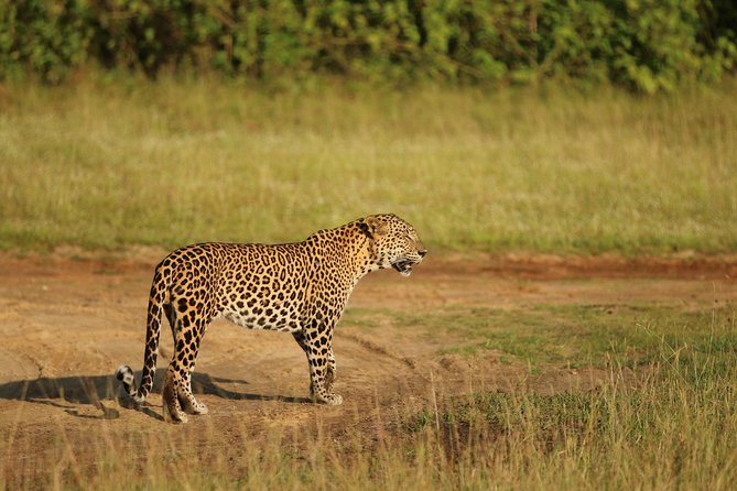 8 Days tour in Sri Lanka with privet driver and accommodations - Day 6: The long transfer to Mirissa