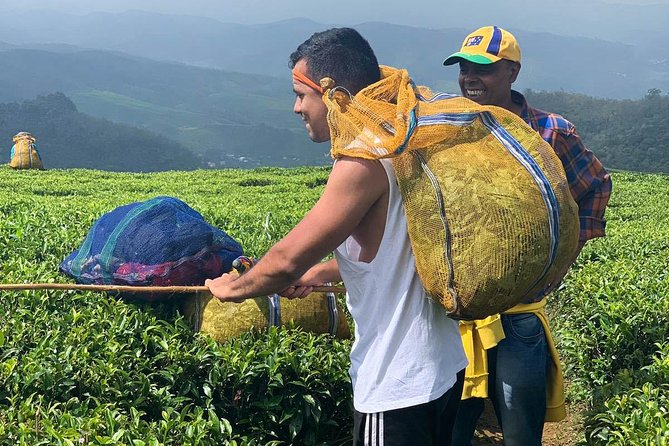 A Day in Nuwara Eliya: Sights & Local Delights - Time, Distance, and Transport