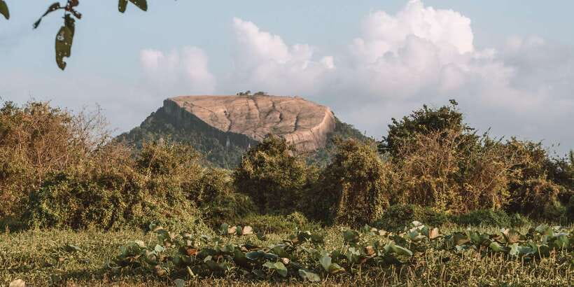 A Hidden Gem in Sigiriya: Magical Boat Journey. - Key points at a glance