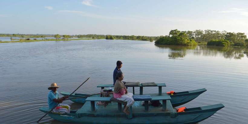 A Hidden Gem in Sigiriya: Magical Boat Journey. - Tea, snacks, lotus flowers, and the value of slowing down