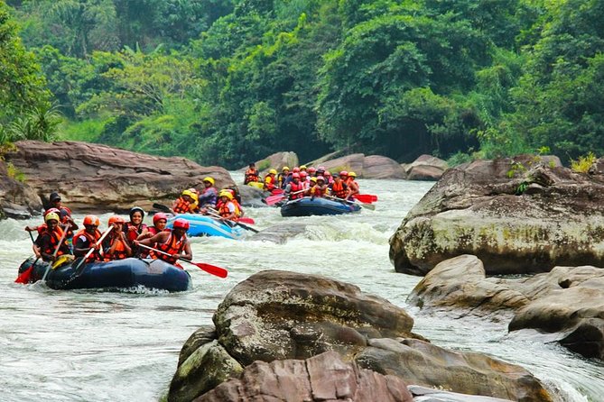 Adventure Experience N in Kitulgala - Natural slides and rock jumps at Katarangala