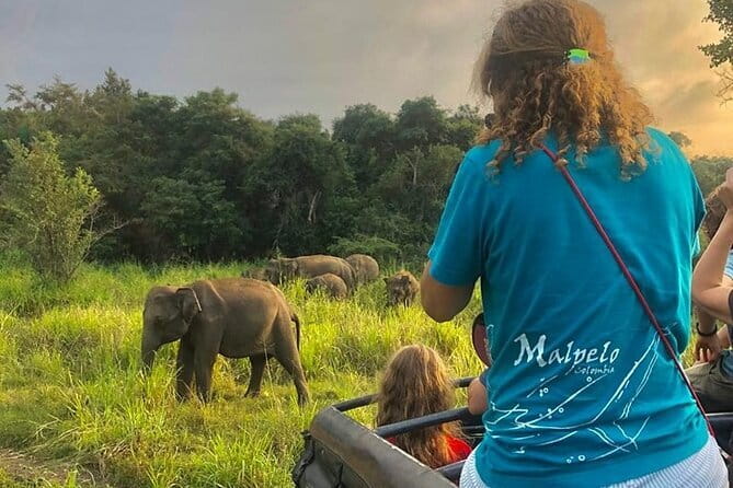 Adventure safari Experience in Hurulu Eco Park, Sri Lanka - Key points to know before booking