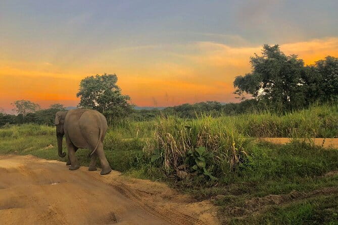 Adventure safari Experience in Hurulu Eco Park, Sri Lanka - Choosing the best park around Habarana