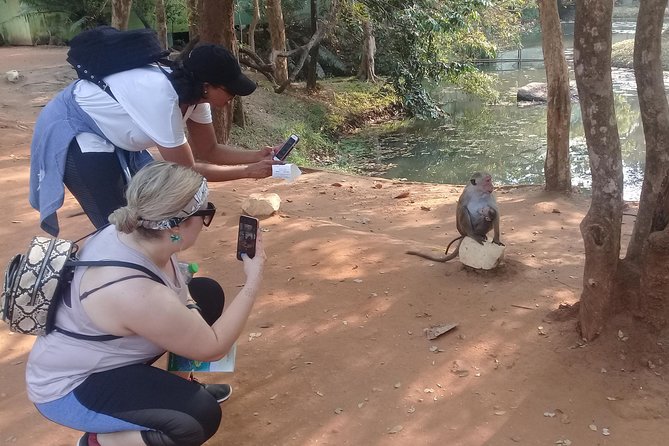 Adventure trincomalee to sigiriya and wild safari ,village tour - Two hours on safari in Minneriya or Kaudulla