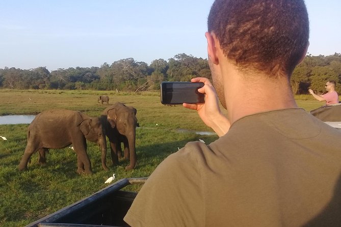 Adventure trincomalee to sigiriya and wild safari ,village tour - Is $150 good value for this full day?