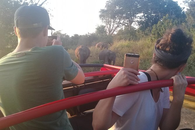 Adventure trincomalee to sigiriya and wild safari ,village tour - Who should book this Trincomalee excursion?