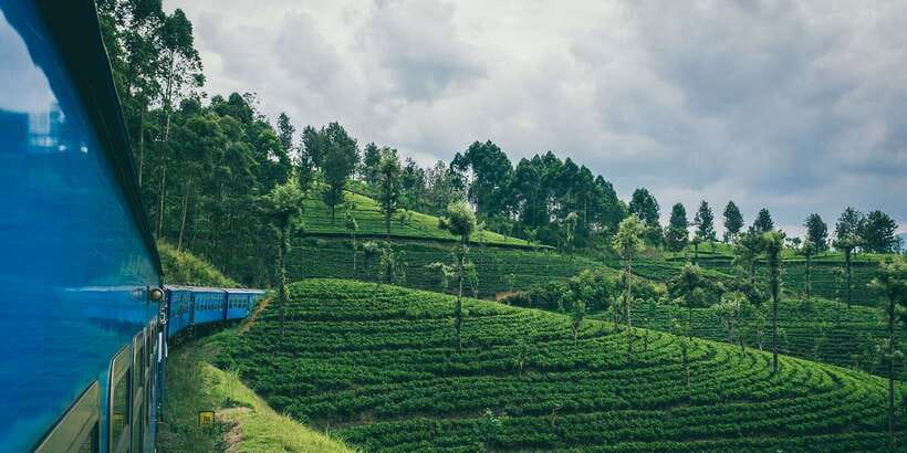 All Inclusive Ella From/To Kandy Scenic Train Journey - What first class really adds