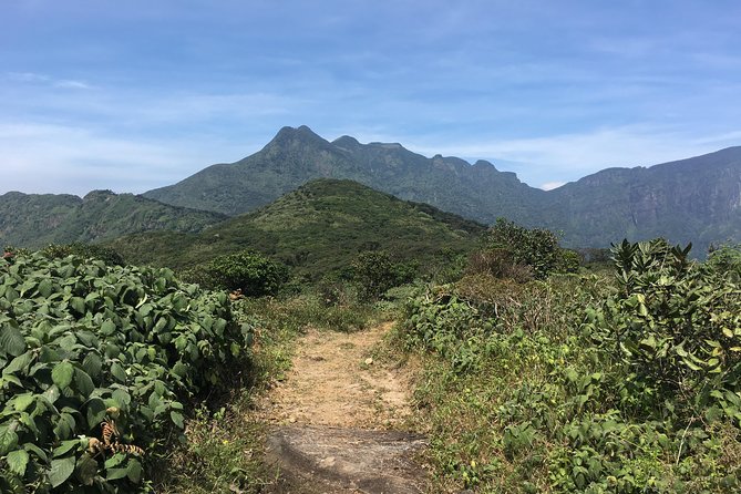 All Inclusive Knuckles Day Track With Accommodation - Key points to know before booking