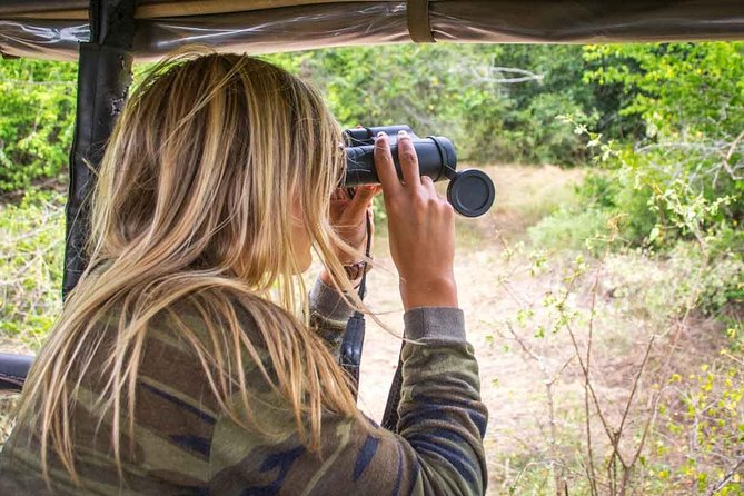 All Inclusive Leopard Nest Treehouse Safari in Yala - The 5:00 am nature trail to Nimalawa