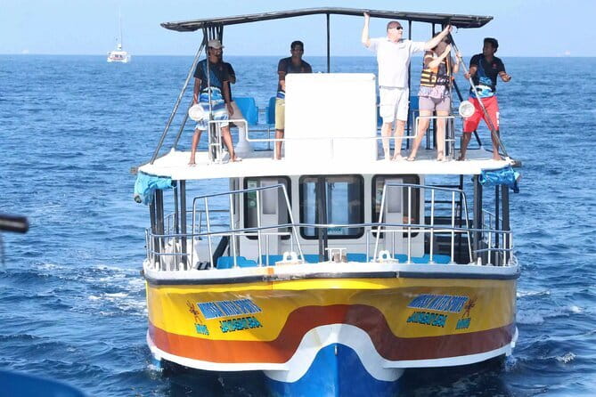 All Inclusive Mirissa Whale and Dolphin Watching Boat Ride - Whale watching when nature sets the rules