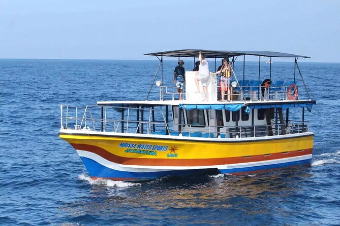 All Inclusive Mirissa Whale and Dolphin Watching Boat Ride - Dolphins, turtles, and the bonus sightings