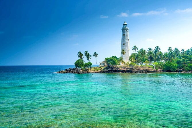 All Inclusive Mirissa Whale and Dolphin Watching Boat Ride - Rough water, safety, and responsible watching
