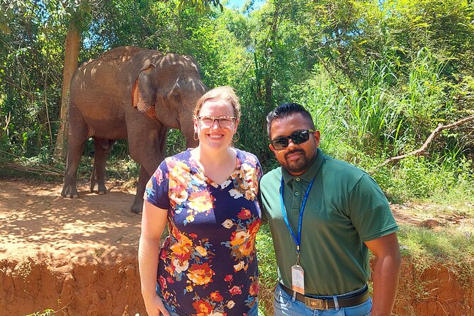 All Inclusive Udawalawe National Park Safari Day Tour from Colombo and Negombo - Guides who add value to the drive