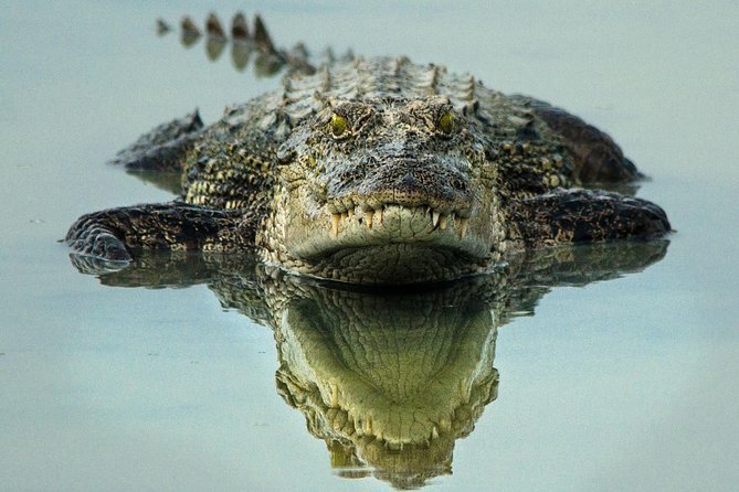 All Inclusive Wilpattu National Park Day Tour From Anuradhapura - The villus and the rhythm of the park