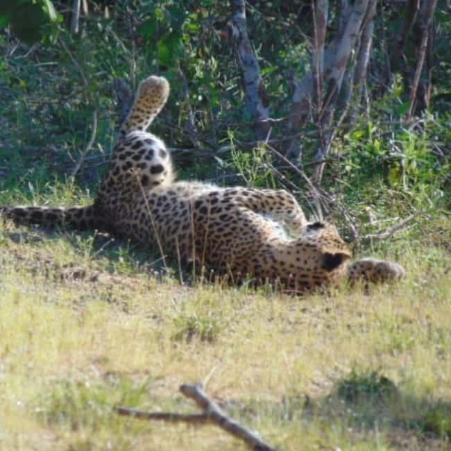 Anuradhapura: Full-Day Wilpattu All Inclusive Private Safari - Natural lakes, forest tracks, and open plains