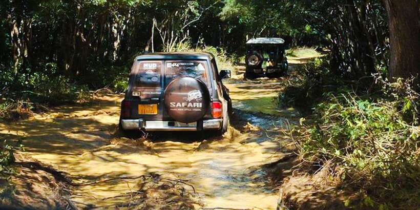 Anuradhapura: Full-Day Wilpattu All Inclusive Private Safari - Animals beyond the leopard