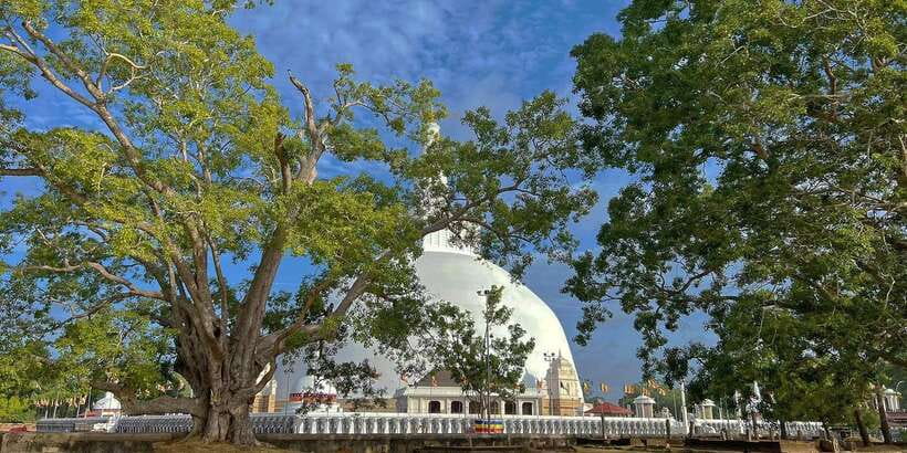 Anuradhapura Private Ancient City Day Tour - Starting at Sri Maha Bodhi