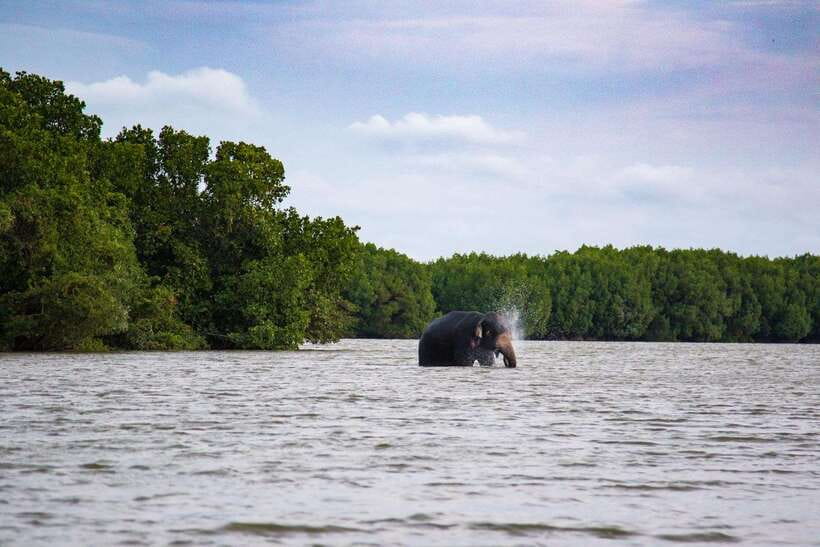 Arugambay :Pottuvil Lagoon Mangrove Eco Boat Safari Tours - Boarding the traditional paddle boat