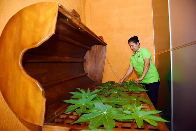 Ayurveda Day Package - Key points to know before booking