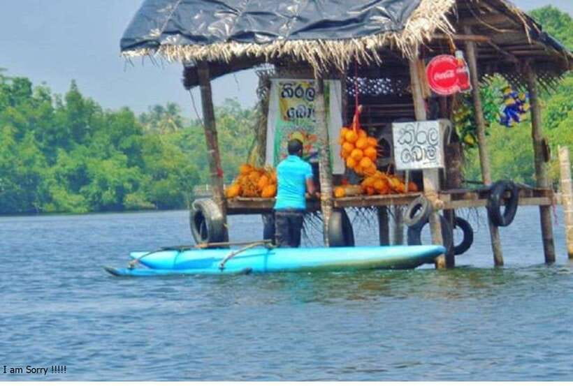 Bentota: All Inclusive Galle Dutch Fort & Madu River Safari - Cruising the Madu Ganga wetland at 2:00 PM