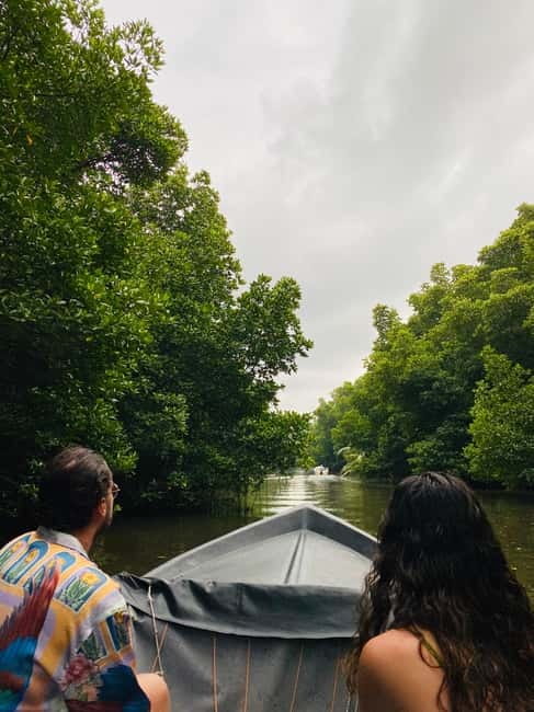 Bentota River Safari: Discover Wildlife & Mangroves by Boat - Mangrove channels and the value of quiet